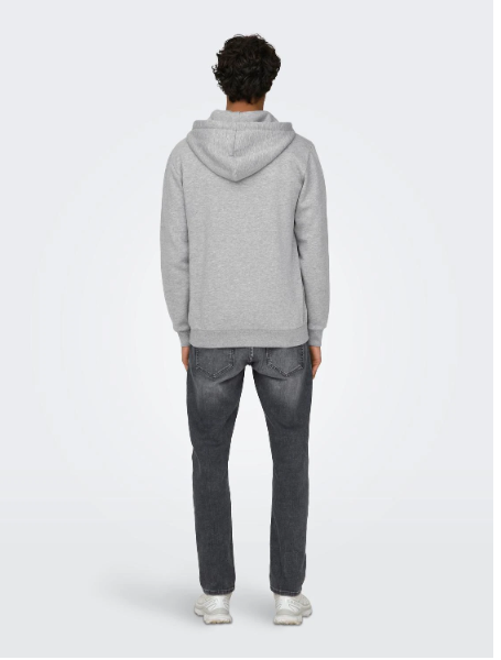 Hoodie SWEATSHIRT com zíper cinza