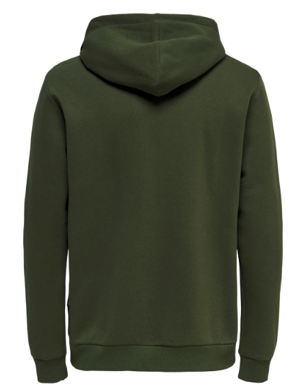 Hoodie SWEATSHIRT verde